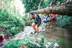 BIB: 
                            <button type="button" onclick="openModal(25476036)" class="btn btn-primary btn-sm float-right btn-popup" data-toggle="modal" data-target=".modal-high-quality">
                        <i class="fas fa-shopping-cart"></i> Add to Cart
                    </button>
                                            <button type="button" onclick="isThisMe(25476036, true)" class="btn btn-success btn-sm float-right btn-popup btn-isme hidden" data-toggle="tooltip" data-placement="bottom" title="นี่คือรูปของคุณใช่ไหม คลิกที่นี่เพื่อเอาเข้าอัลบั้ม">
                        <i class="fas fa-plus"></i> Add to album
                    </button>
                    <button type="button" onclick="isThisMe(25476036, false)" class="btn btn-warning btn-sm float-right btn-popup btn-isnotme hidden">
                        <i class="fas fa-ban"></i> Remove from album
                    </button>